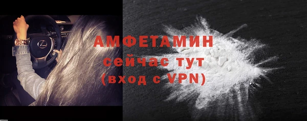 твердый Магас