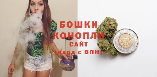 твердый Магас