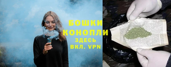 твердый Магас
