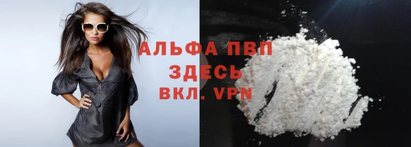 твердый Магас