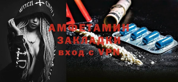 твердый Магас