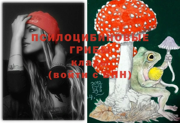 твердый Магас
