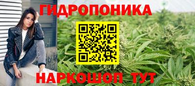 амфетамин Гай
