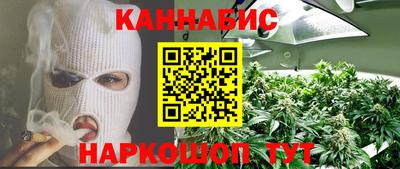 шишки Гагарин