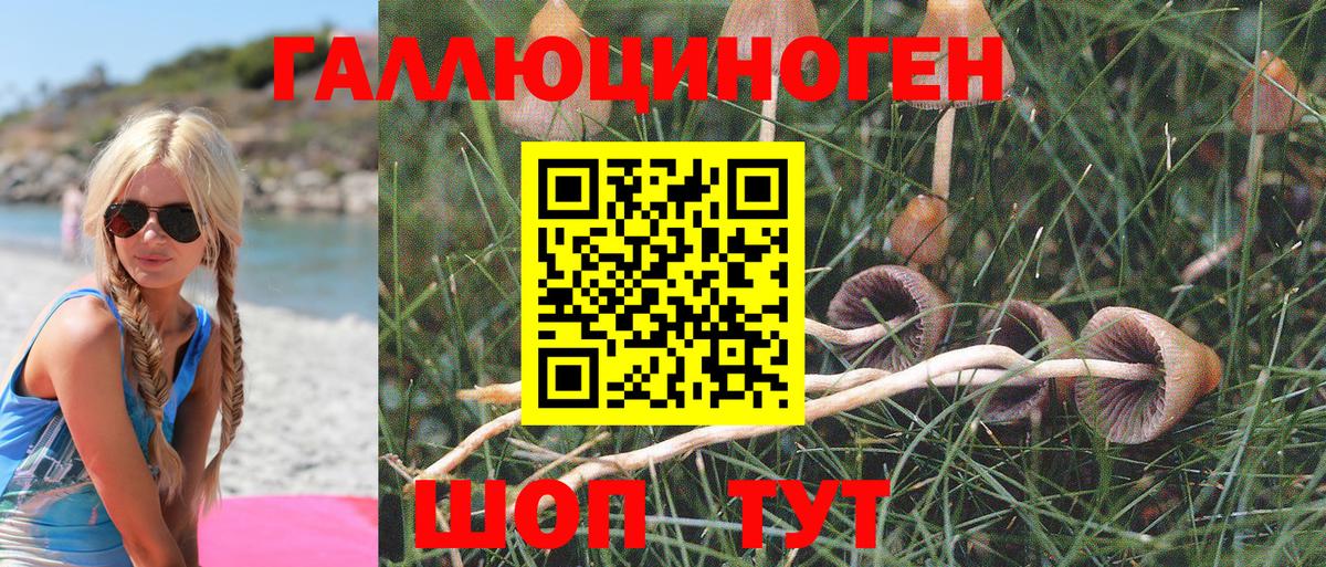 Георгиевск  Галлюциногенные грибы MAGIC MUSHROOMS  Вход с VPN 