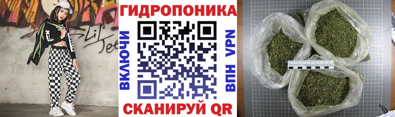 мега ссылка  Георгиевск  МАРИХУАНА White Widow 