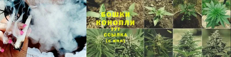 mega ССЫЛКА  Георгиевск  Канабис SATIVA & INDICA 