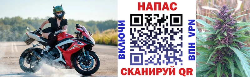 Бошки марихуана MAZAR Георгиевск